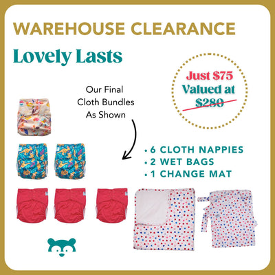 Lovely Last Cloth Bundle - Just $75 - Valued at $280